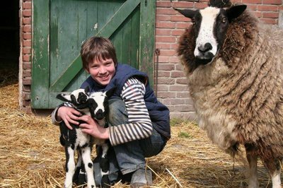 Lammetjesdag